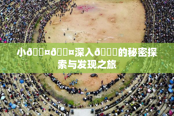 小🐤🐤深入🍑的秘密探索与发现之旅