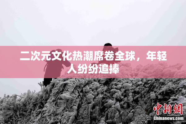 二次元文化热潮席卷全球，年轻人纷纷追捧