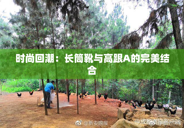 时尚回潮：长筒靴与高跟A的完美结合
