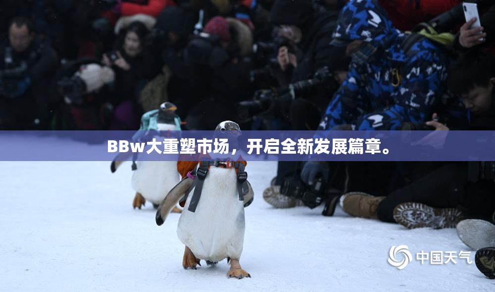 BBw大重塑市场，开启全新发展篇章。