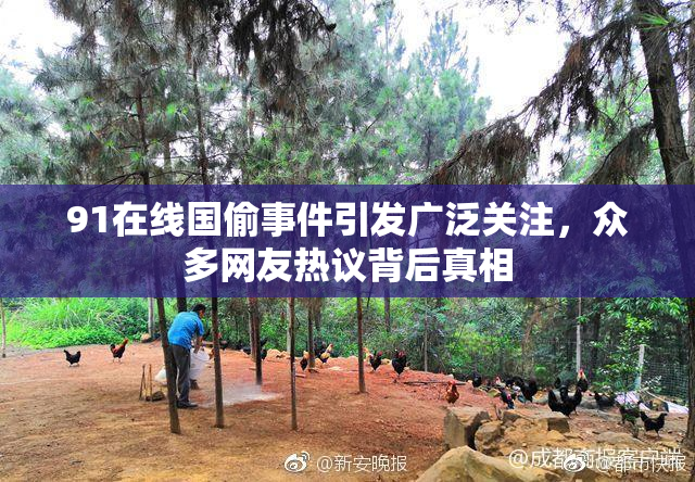 91在线国偷事件引发广泛关注，众多网友热议背后真相