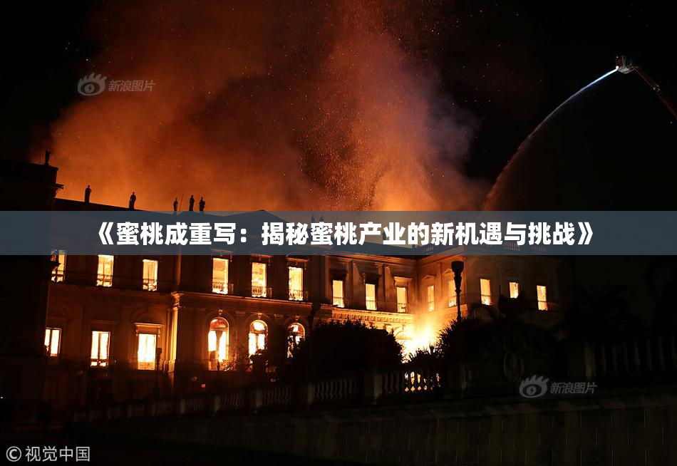 《蜜桃成重写：揭秘蜜桃产业的新机遇与挑战》