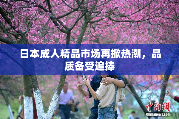日本成人精品市场再掀热潮，品质备受追捧