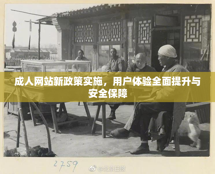 成人网站新政策实施，用户体验全面提升与安全保障
