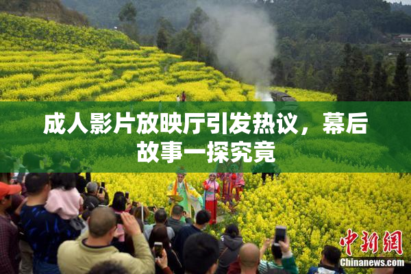 成人影片放映厅引发热议，幕后故事一探究竟