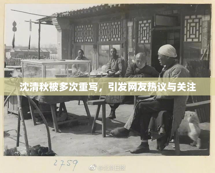 沈清秋被多次重写，引发网友热议与关注