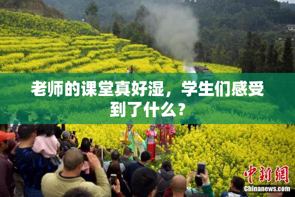 老师的课堂真好湿，学生们感受到了什么？
