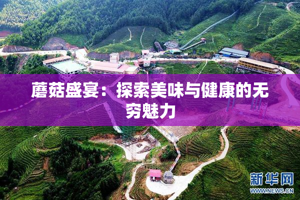 蘑菇盛宴：探索美味与健康的无穷魅力