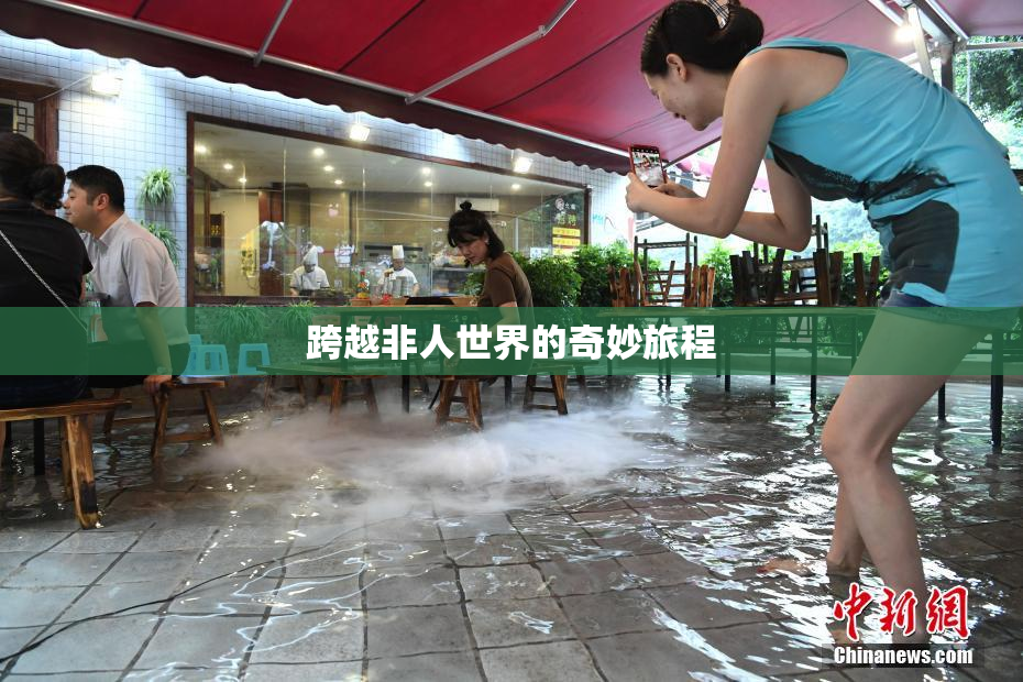 跨越非人世界的奇妙旅程