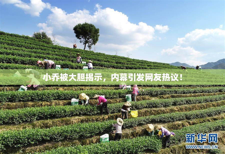 小乔被大胆揭示，内幕引发网友热议！