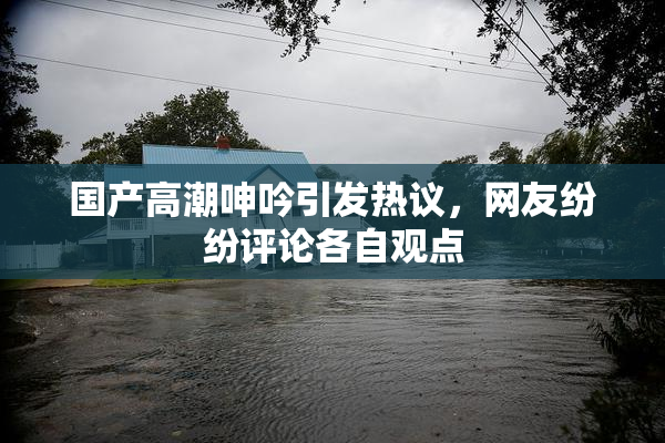 国产高潮呻吟引发热议，网友纷纷评论各自观点