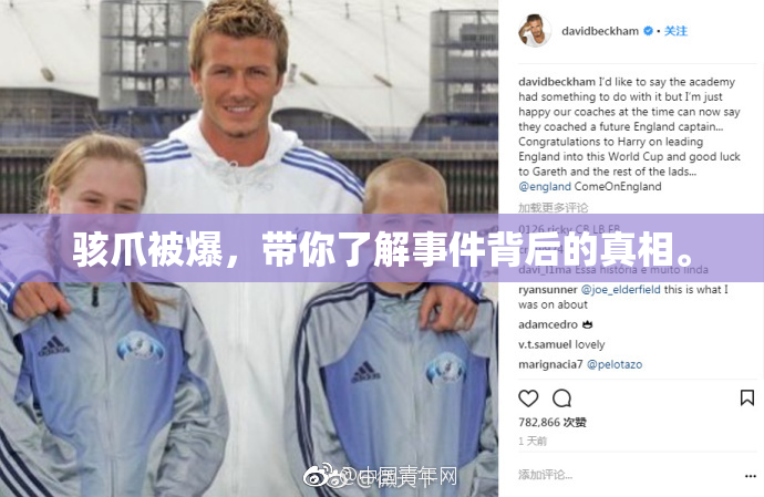 骇爪被爆，带你了解事件背后的真相。
