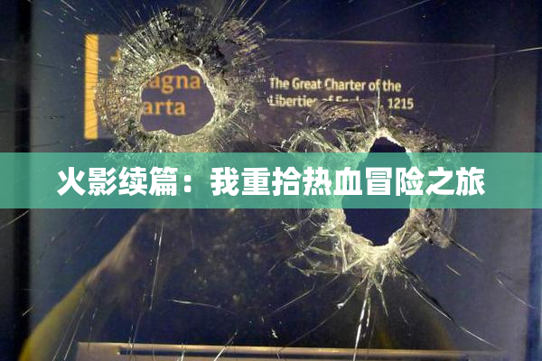 火影续篇：我重拾热血冒险之旅