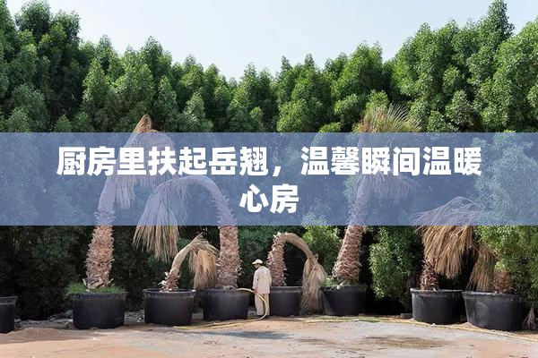 厨房里扶起岳翘，温馨瞬间温暖心房