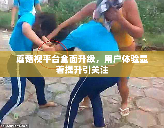 蘑菇视平台全面升级，用户体验显著提升引关注