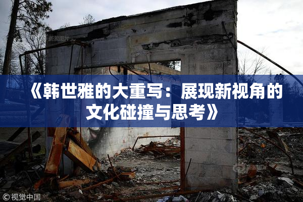 《韩世雅的大重写：展现新视角的文化碰撞与思考》