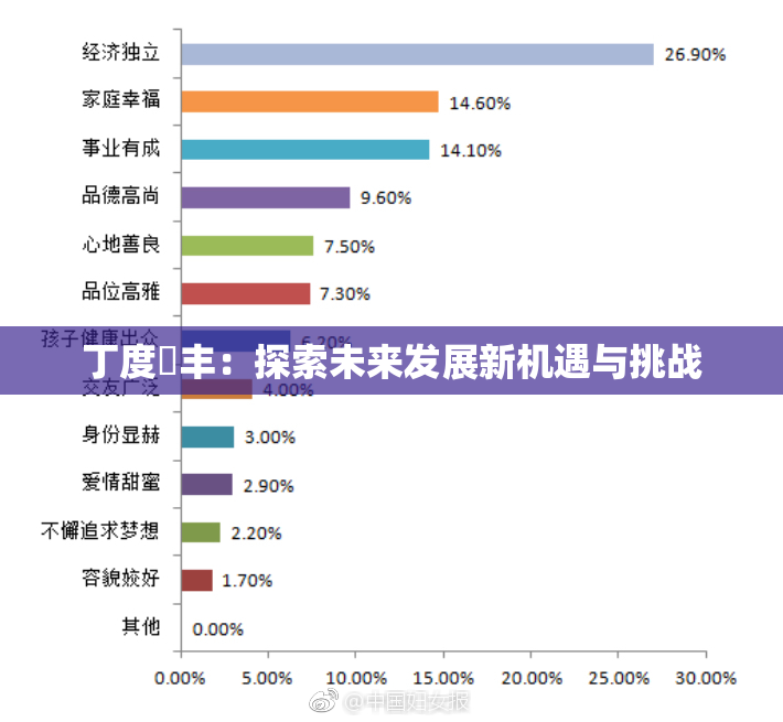 丁度巜丰：探索未来发展新机遇与挑战