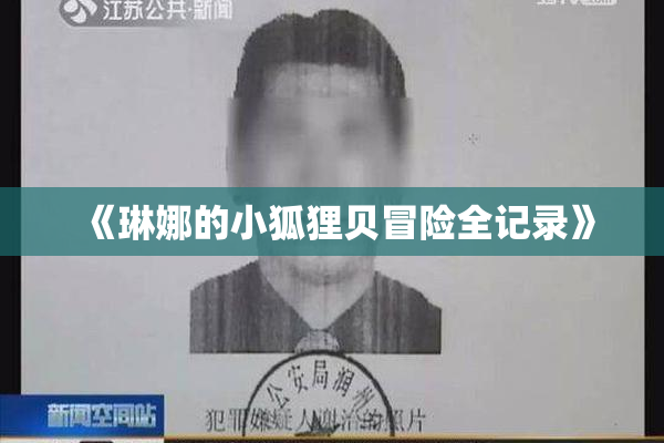 《琳娜的小狐狸贝冒险全记录》