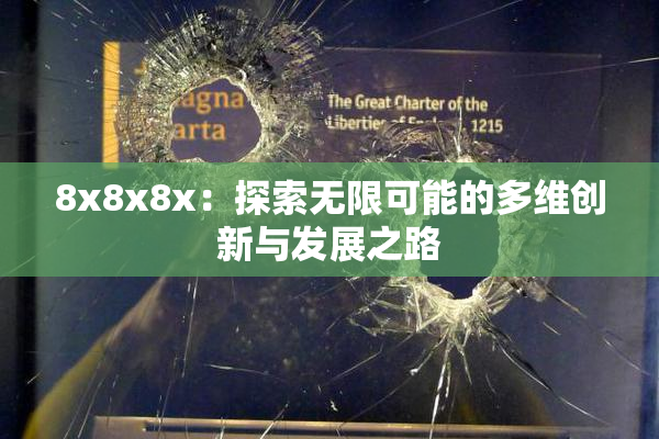 8x8x8x：探索无限可能的多维创新与发展之路