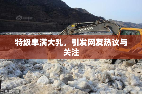 特级丰满大乳，引发网友热议与关注
