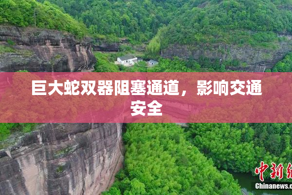 巨大蛇双器阻塞通道，影响交通安全