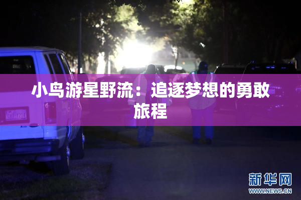 小鸟游星野流：追逐梦想的勇敢旅程