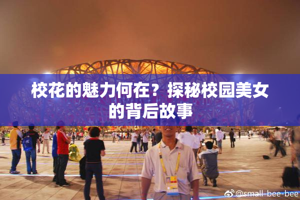 校花的魅力何在？探秘校园美女的背后故事
