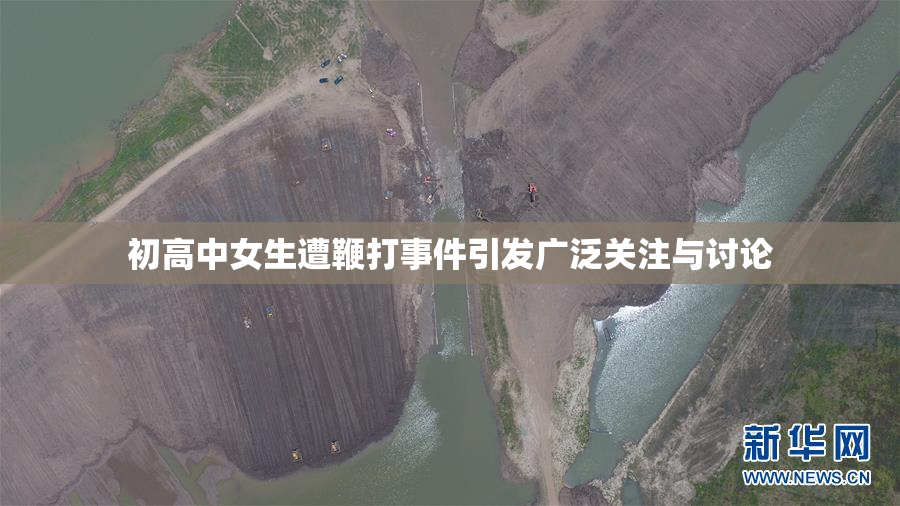 初高中女生遭鞭打事件引发广泛关注与讨论