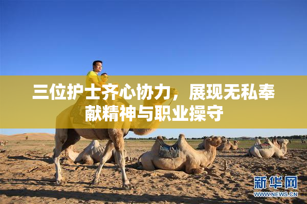 三位护士齐心协力，展现无私奉献精神与职业操守