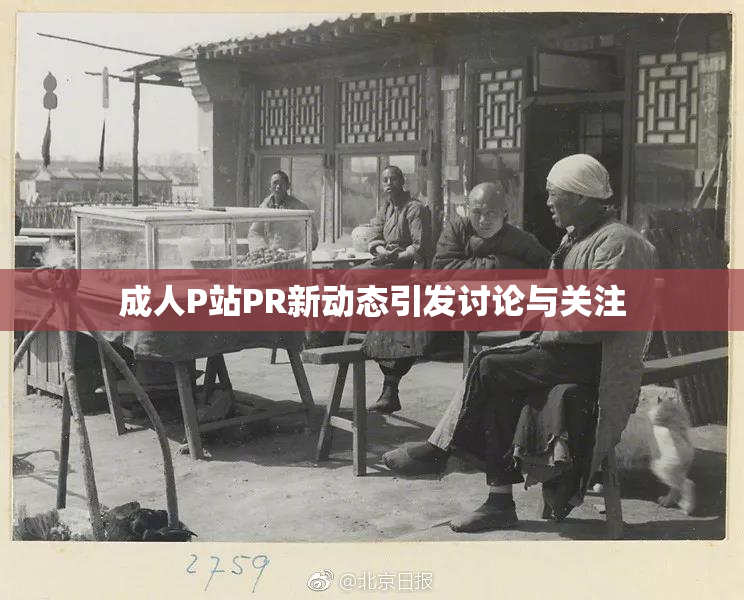 成人P站PR新动态引发讨论与关注