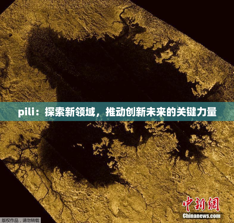 pili：探索新领域，推动创新未来的关键力量