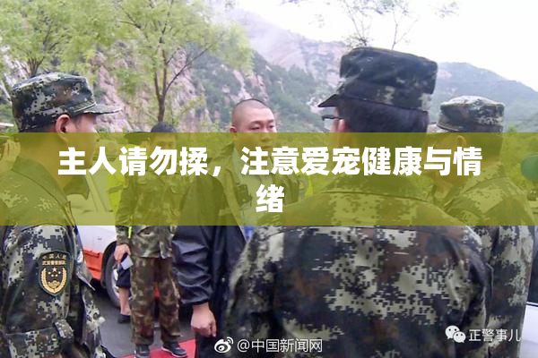 主人请勿揉，注意爱宠健康与情绪