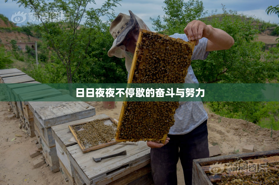 日日夜夜不停歇的奋斗与努力