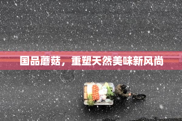 国品蘑菇，重塑天然美味新风尚