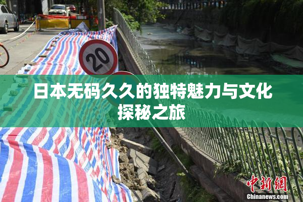 日本无码久久的独特魅力与文化探秘之旅