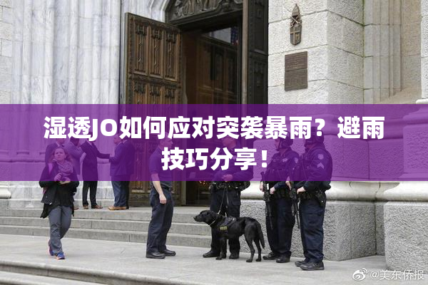 湿透JO如何应对突袭暴雨？避雨技巧分享！