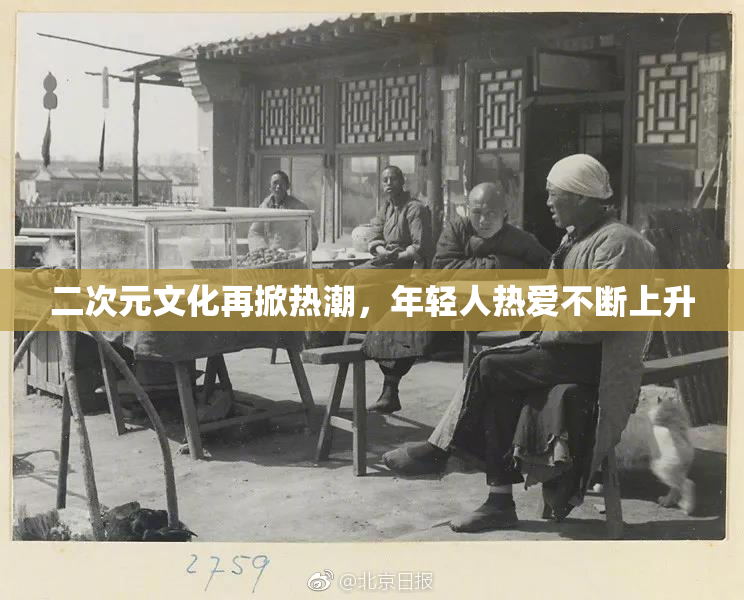 二次元文化再掀热潮，年轻人热爱不断上升