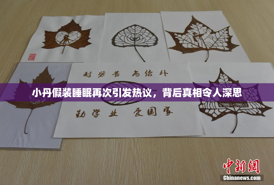 小丹假装睡眠再次引发热议，背后真相令人深思