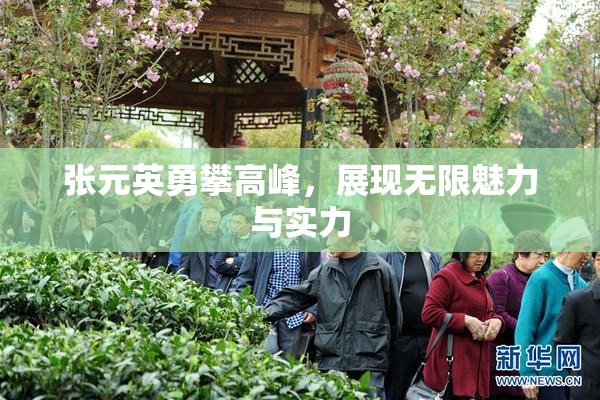 张元英勇攀高峰，展现无限魅力与实力