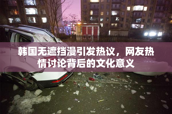 韩国无遮挡漫引发热议，网友热情讨论背后的文化意义