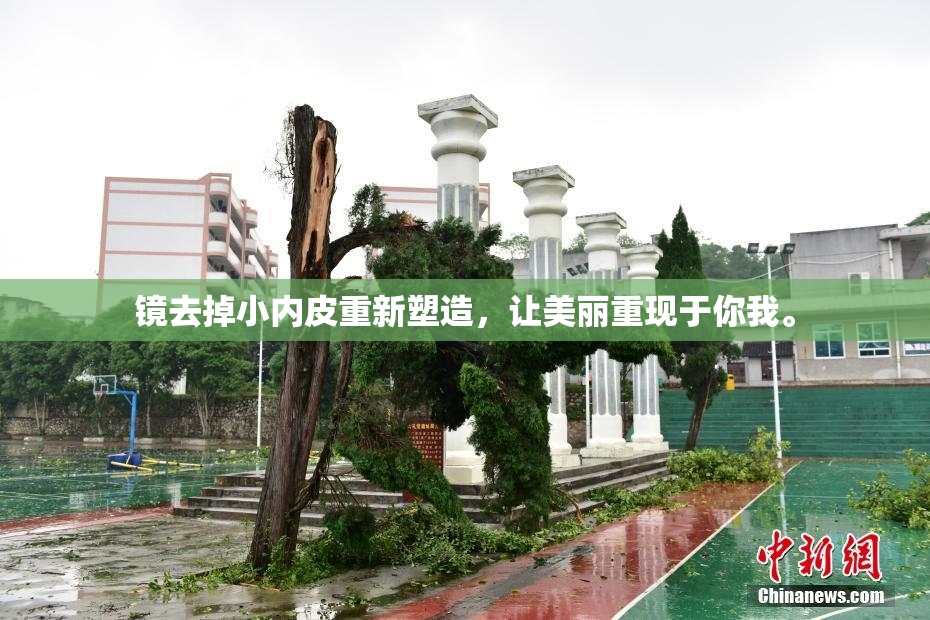 镜去掉小内皮重新塑造，让美丽重现于你我。