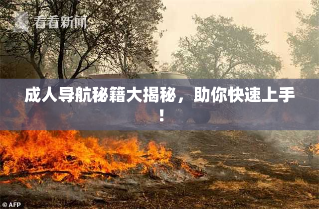 成人导航秘籍大揭秘，助你快速上手！