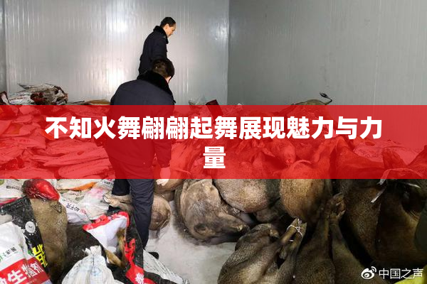 不知火舞翩翩起舞展现魅力与力量