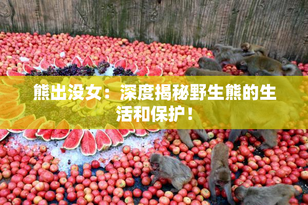 熊出没女：深度揭秘野生熊的生活和保护！