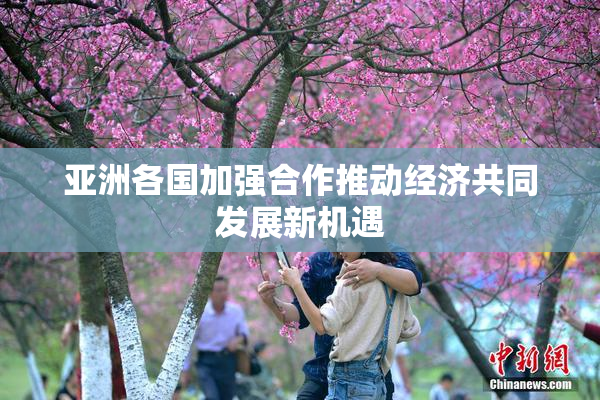 亚洲各国加强合作推动经济共同发展新机遇