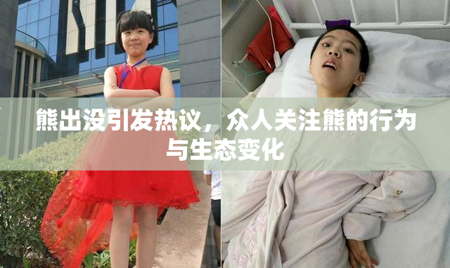 熊出没引发热议，众人关注熊的行为与生态变化