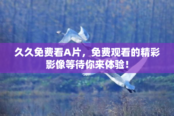 久久免费看A片，免费观看的精彩影像等待你来体验！