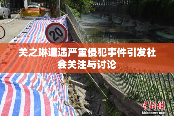 关之琳遭遇严重侵犯事件引发社会关注与讨论
