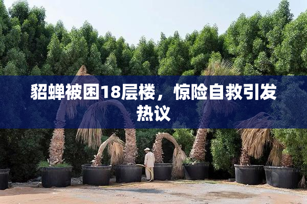 貂蝉被困18层楼，惊险自救引发热议