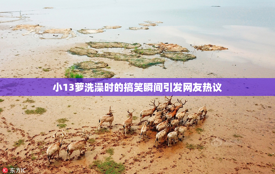 小13萝洗澡时的搞笑瞬间引发网友热议